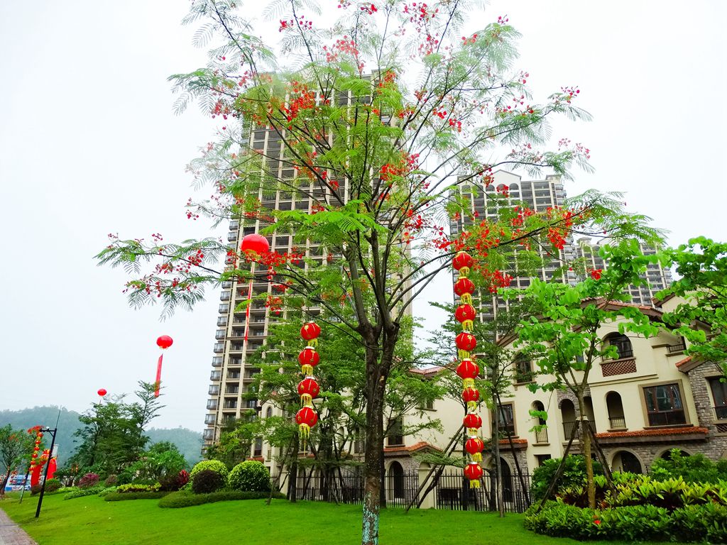 微信图片_2020053019044917.jpg