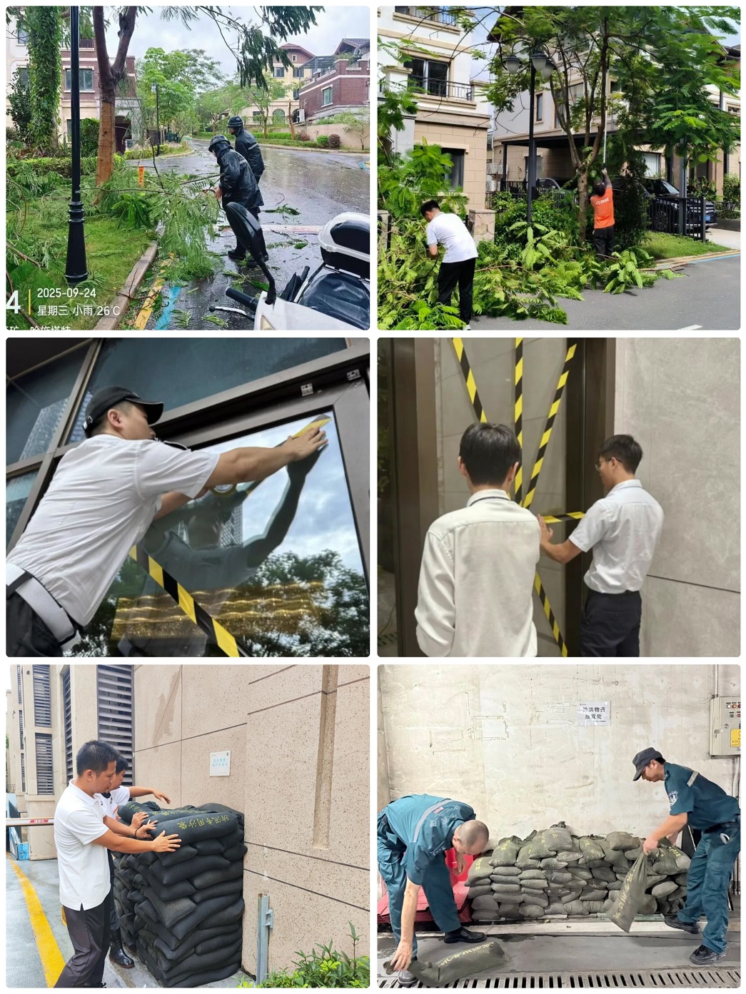 微信图片_20250925103710_1759_288.jpg