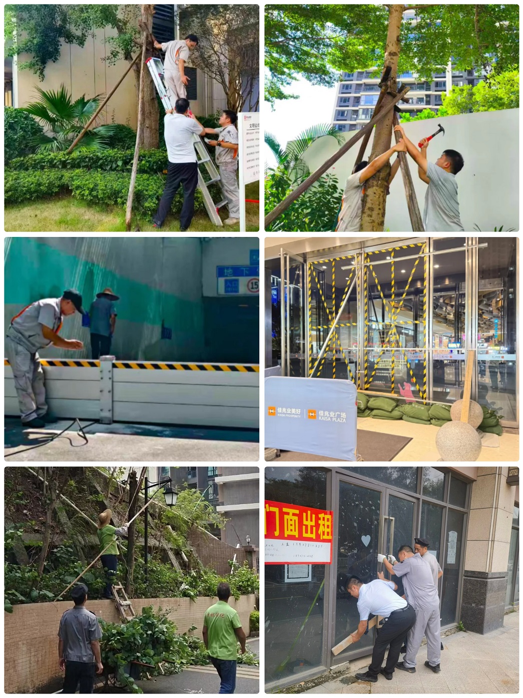 微信图片_20250925103711_1760_288.jpg