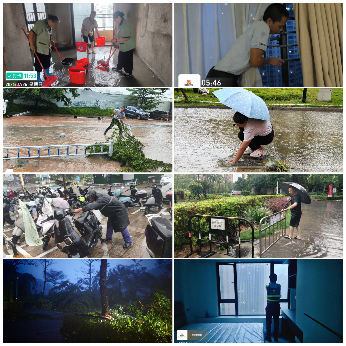 1785137404953000676.jpg 汛中1.jpg